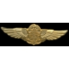 FBI PINS FEDERAL BUREAU OF INVESTIGATION WINGS PIN